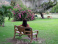 /album/fotogaleria-jamajka-capuccino-zajazd-vy-a-my/42-97-jpg/